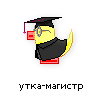 утка-магистр