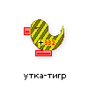 утка-тигр