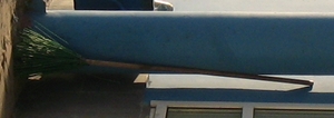 Веник